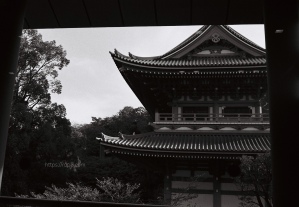 大本山總持寺　写真フィルム＝ベルゲール 400 BERGGER BPA4011 [PANCRO 135-36]　