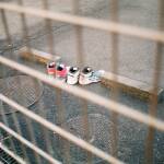 富士フイルム FUJIFILM フジカラー FUJICOLOR 100 135
