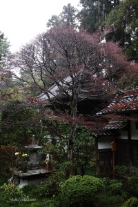 瑞鳳寺