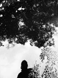 雨上がり
