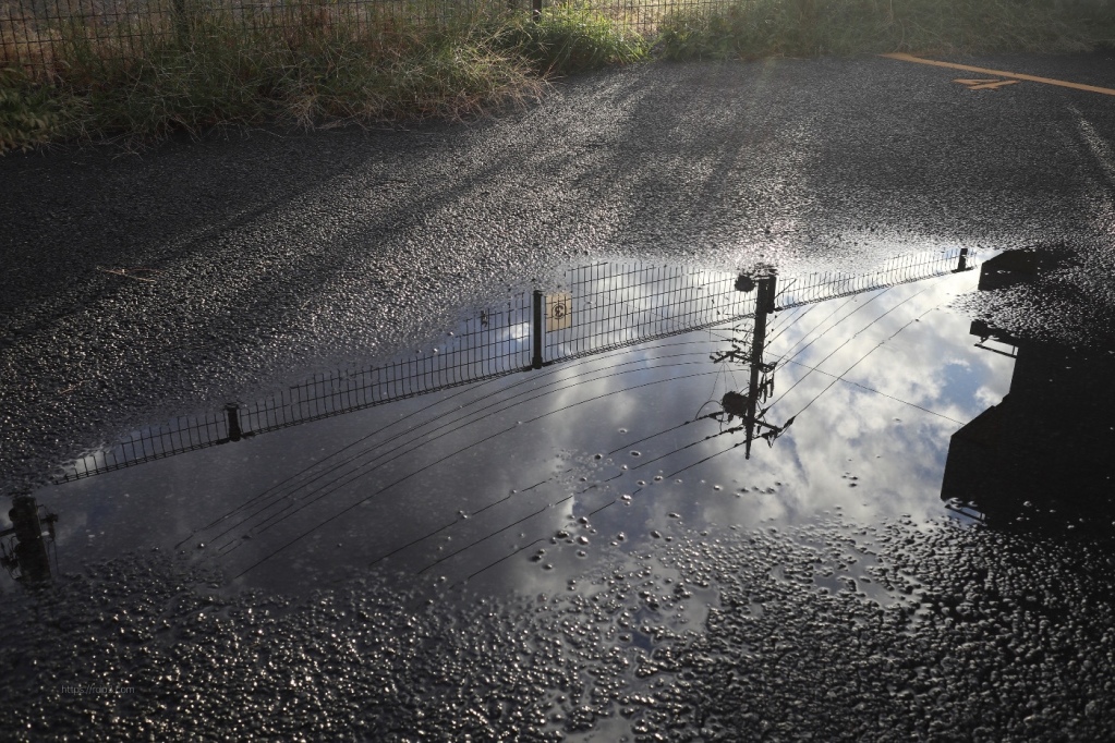 雨上がり