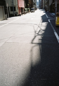(写真フィルム kodacolor 200 35mm Film & 撮影カメラ CONTAX T3)