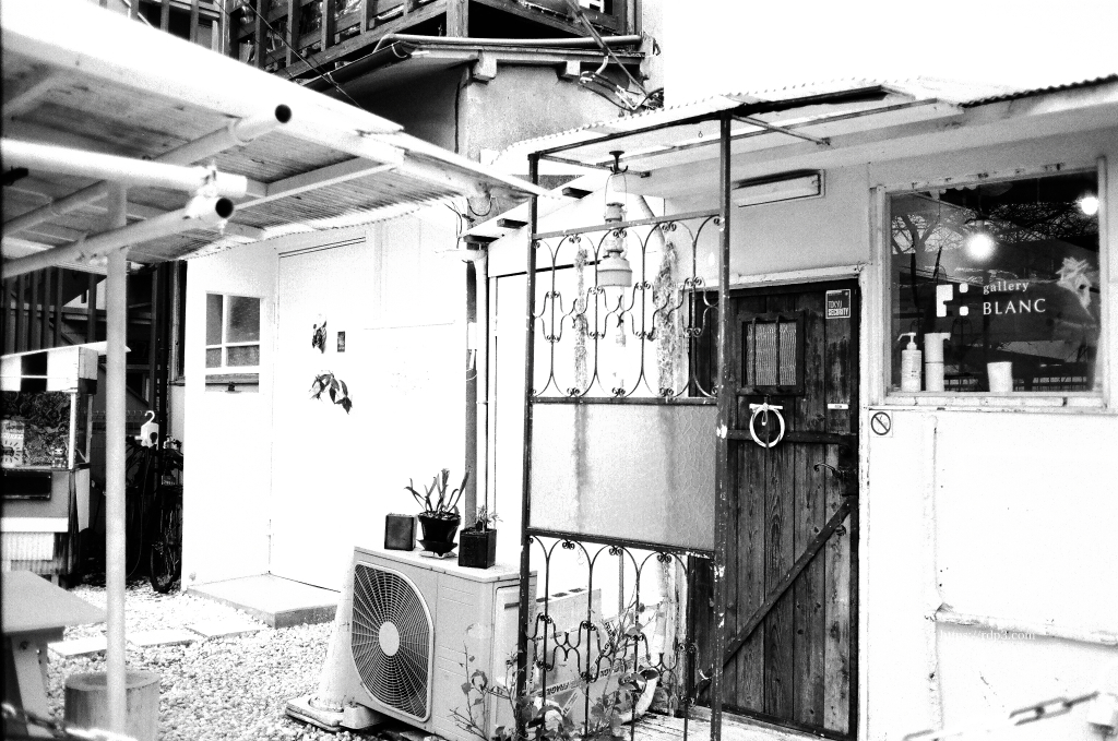 KENTMERE PAN 100 - ケントメア(白黒フィルム写真)
