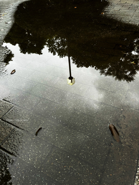 雨上がり　夕方