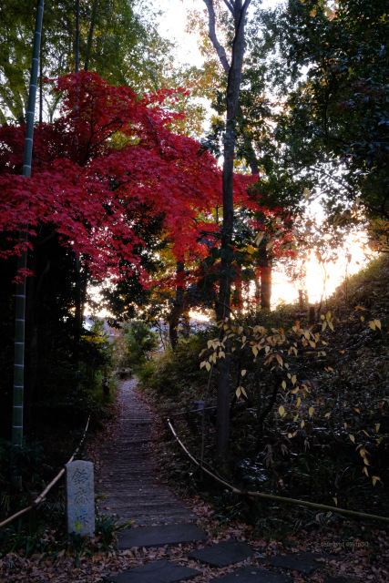 旧白洲邸 武相荘 Buaiso （カメラ X100VI FUJIFILM）