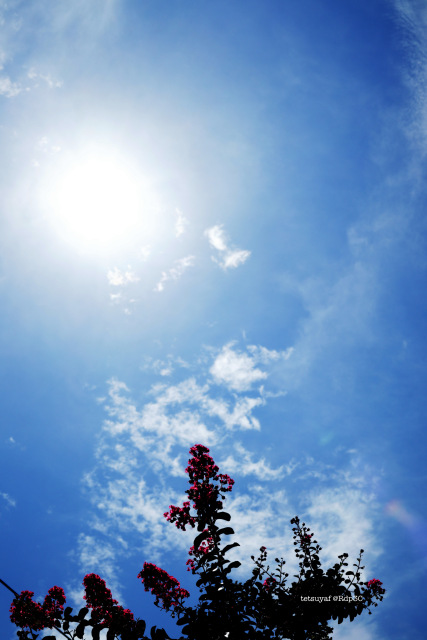 EOS M6 夏の空