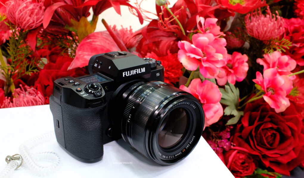 FUJIFILM X-H2S 56 mm f/1.2装着時　シーピープラス2025にて、薔薇の造花は富士フィルムさんがブースに用意したものでこういうふうにしか撮りようがなかっただけです