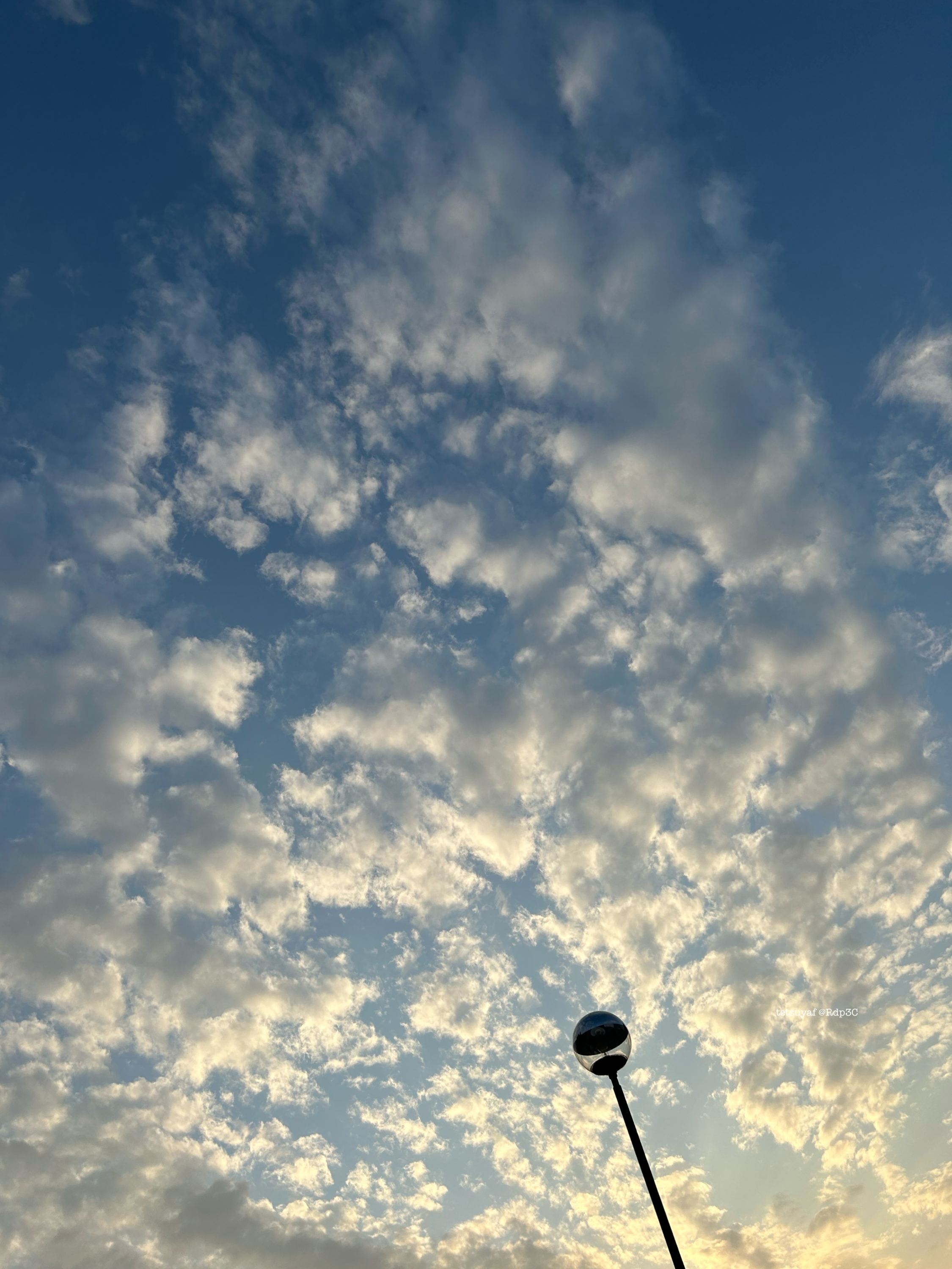 日曜の夕方