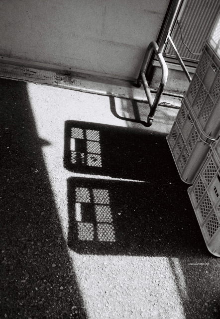 KENTMERE PAN 200 & CONTAX T3 で撮影した写真- ケントメア(白黒フィルム写真)