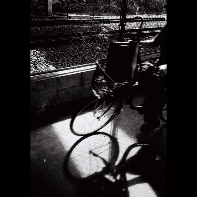 KENTMERE PAN 200 & CONTAX T3 で撮影した写真- ケントメア（白黒フィルム写真）