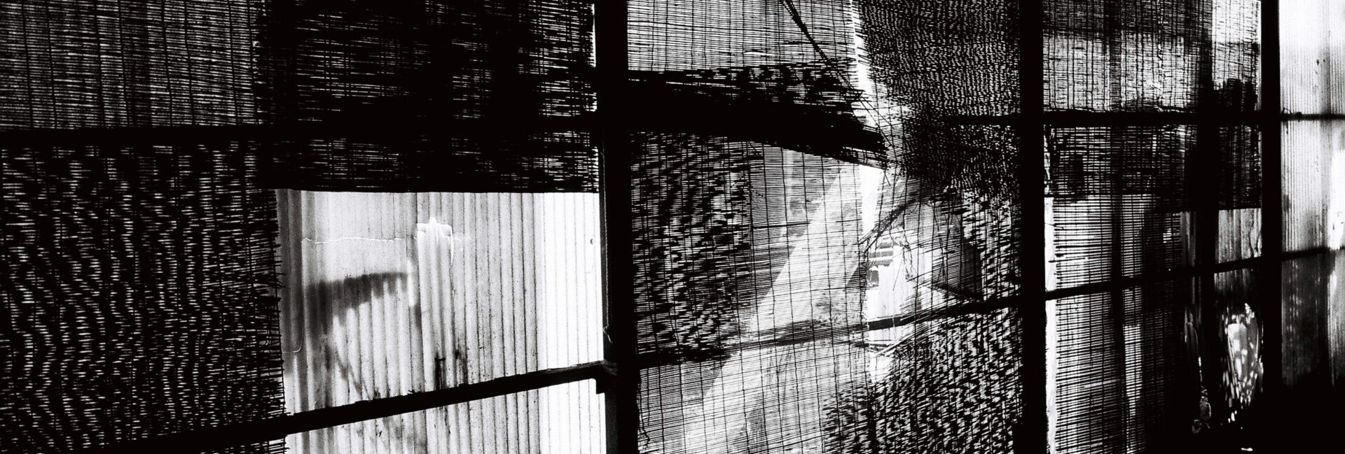 KENTMERE PAN 200 & CONTAX T3 で撮影した写真- ケントメア（白黒フィルム写真）