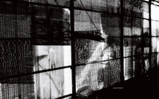 KENTMERE PAN 200 & CONTAX T3 で撮影した写真- ケントメア（白黒フィルム写真）