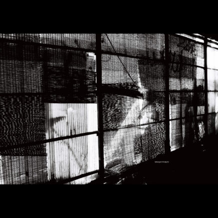 KENTMERE PAN 200 & CONTAX T3 で撮影した写真- ケントメア（白黒フィルム写真）