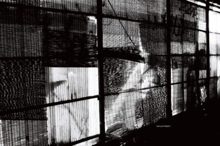 KENTMERE PAN 200 & CONTAX T3 で撮影した写真- ケントメア（白黒フィルム写真）