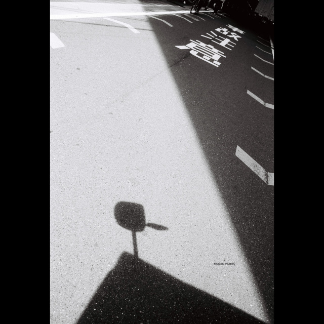 KENTMERE PAN 200 & CONTAX T3 で撮影した写真- ケントメア（白黒フィルム写真）