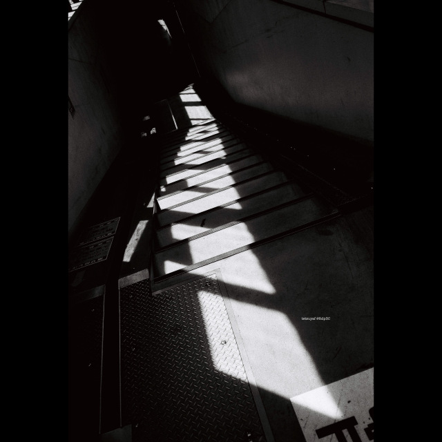 KENTMERE PAN 200 & CONTAX T3 で撮影した写真- ケントメア（白黒フィルム写真）
