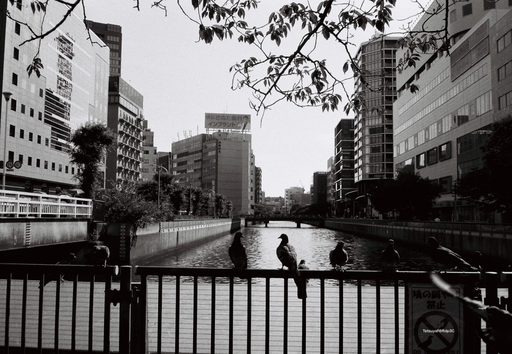 FILM::KENTMERE PAN 400 and CONTAX T3