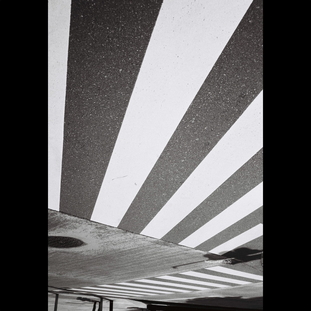 KENTMERE PAN 400 & CONTAX T3 で撮影した写真- ケントメア（白黒フィルム写真）