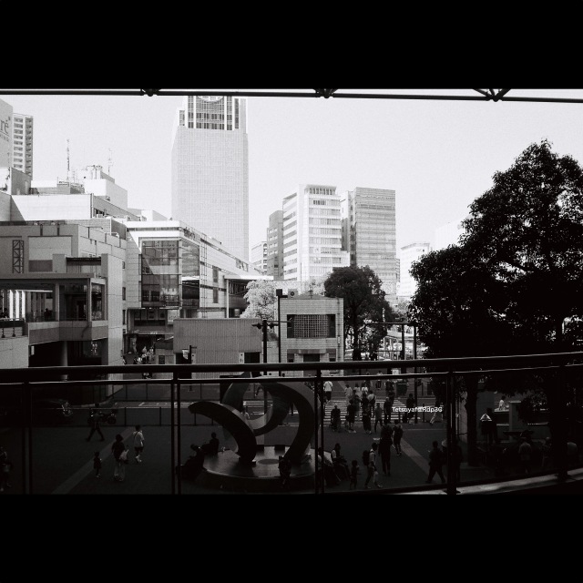 KENTMERE PAN 400 & CONTAX T3 で撮影した写真- ケントメア（白黒フィルム写真）No.26