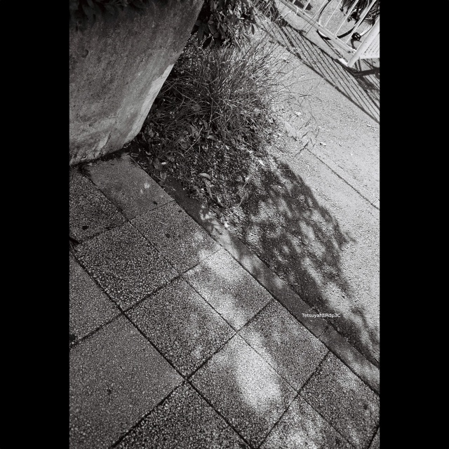 街角の日差しと影を捉えた白黒風景。KENTMERE PAN 400フィルムとCONTAX T3カメラで撮影。No.05