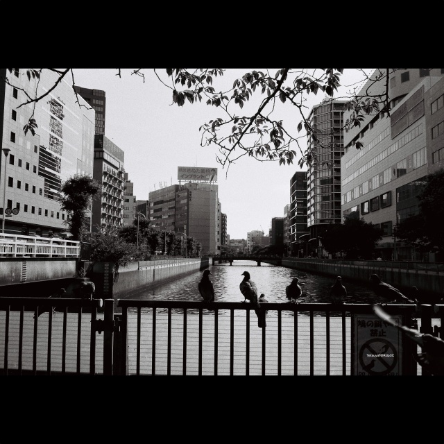 街角の日差しと影を捉えた白黒風景。KENTMERE PAN 400フィルムとCONTAX T3カメラで撮影。No.13