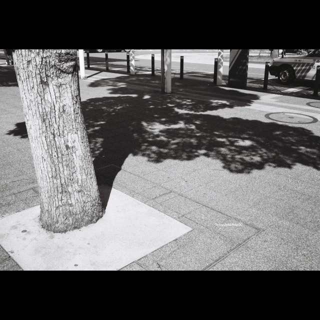 街角の日差しと影を捉えた白黒風景。KENTMERE PAN 400フィルムとCONTAX T3カメラで撮影。No.34