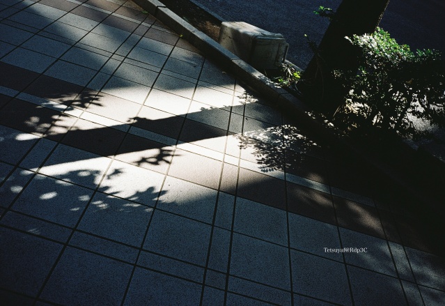 (写真フィルム kodacolor 200 35mm Film & 撮影カメラ CONTAX T3)