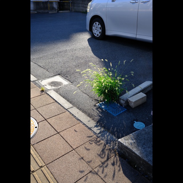 今みなさんがご覧になっている一連の写真は「ビール工場でビールを飲んできましたが、風邪がやっとなおってきたところなのであんまり飲めませんでした」という写真群です
