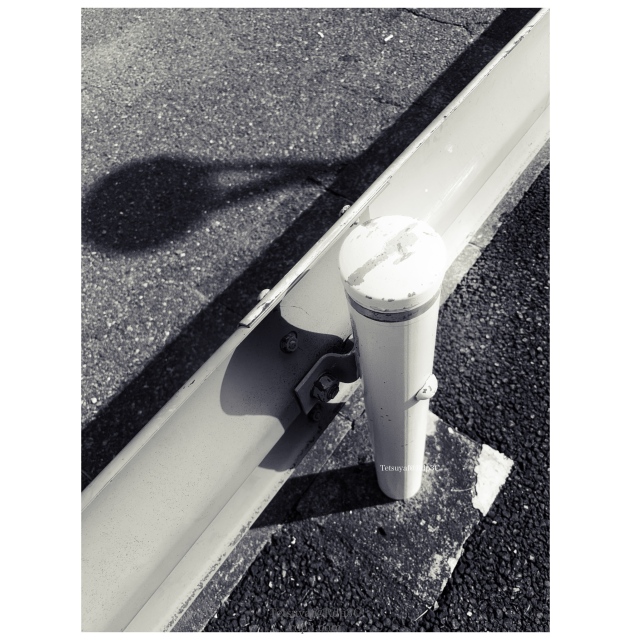 モノクローム通り