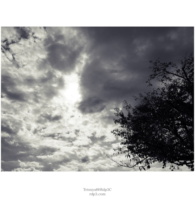 モノクローム通り