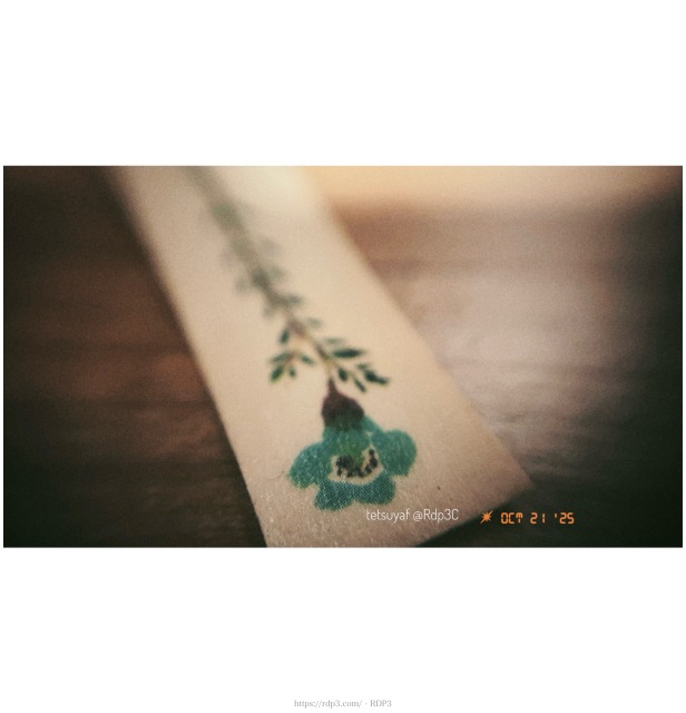 フィルム写真風味「貰った栞」