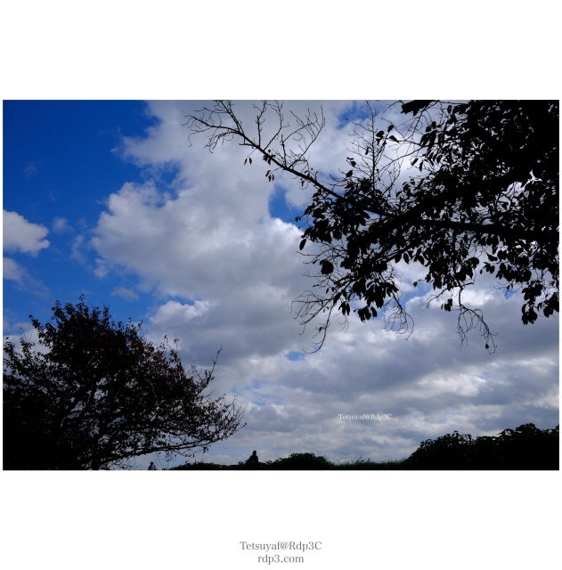 FUJIFILM X100VI + ワイドコンバージョンレンズ WCL-X100II　で撮影した撮って出し画像