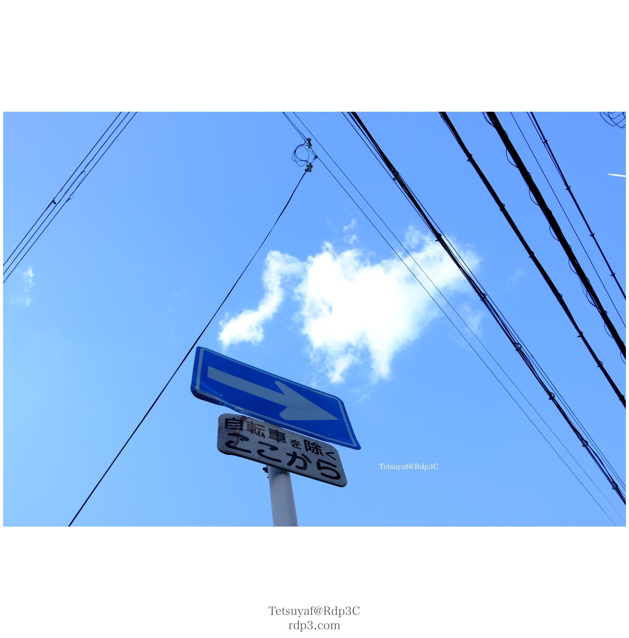 大阪府・黒門市場