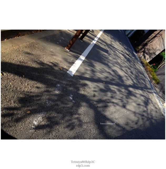 大阪府・黒門市場