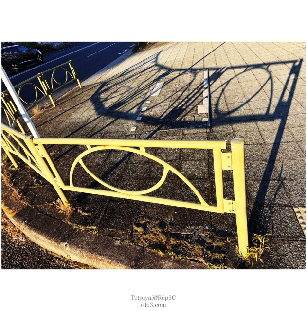 南太平洋の正月