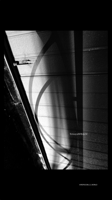 “Photo Stream — Tokyo.2026.Monochrome digital street snapshots.”