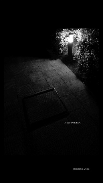 “Photo Stream — Tokyo.2026.Monochrome digital street snapshots.”