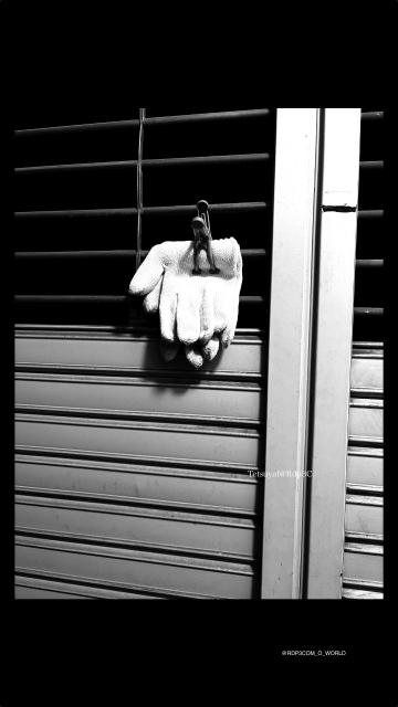 “Photo Stream — Tokyo.2026.Monochrome digital street snapshots.”